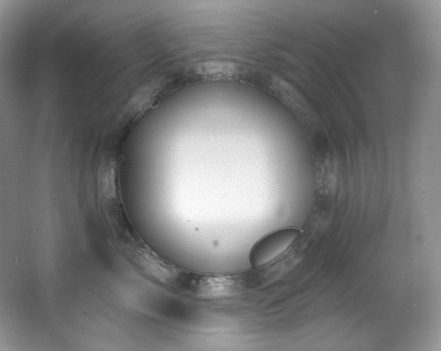 X0000065260717200602171454