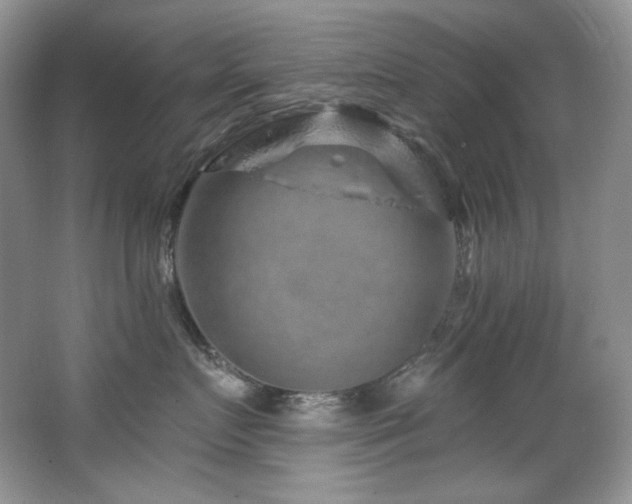 X0000065260719200602171454