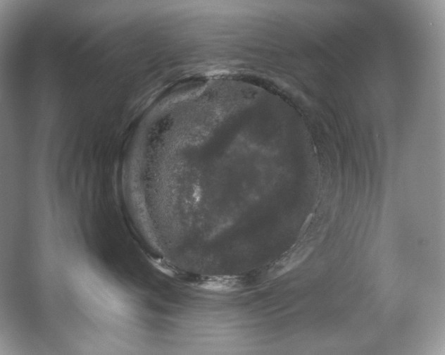 X0000065260720200602171454