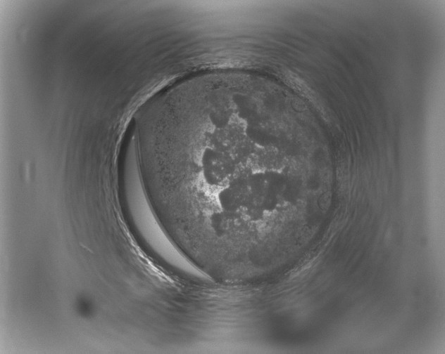 X0000065260721200602171453