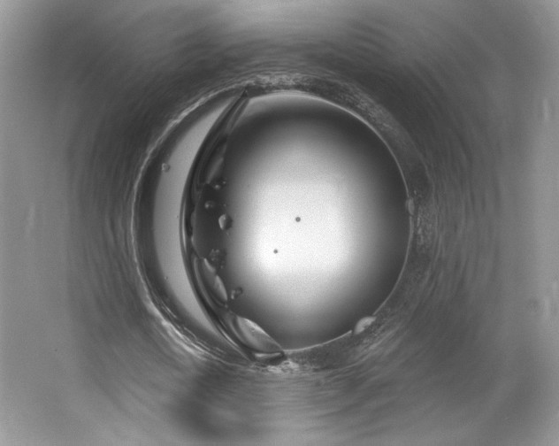 X0000065260722200602171453