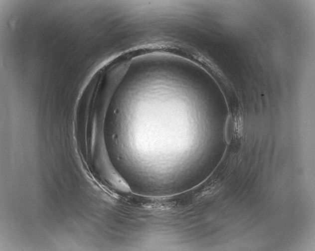 X0000065260724200602171454