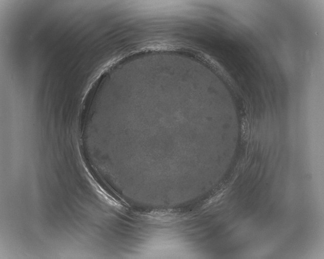 X0000065260725200602171454