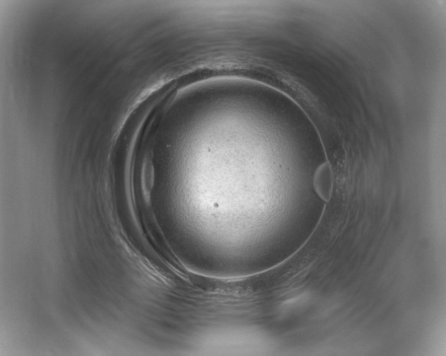 X0000065260727200602171454