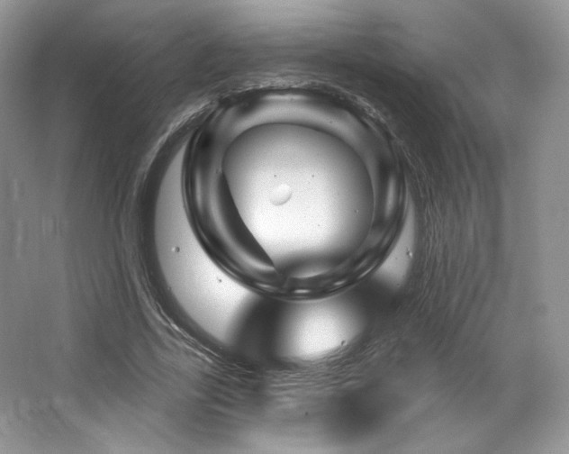 X0000065260731200602171454