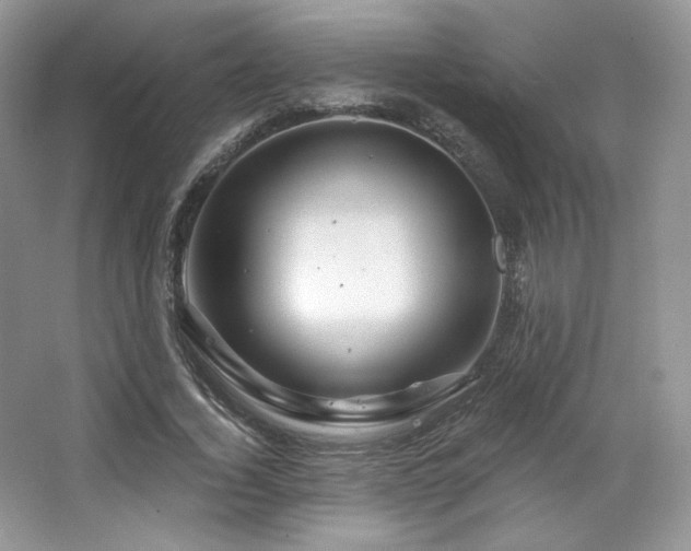 X0000065260732200602171454