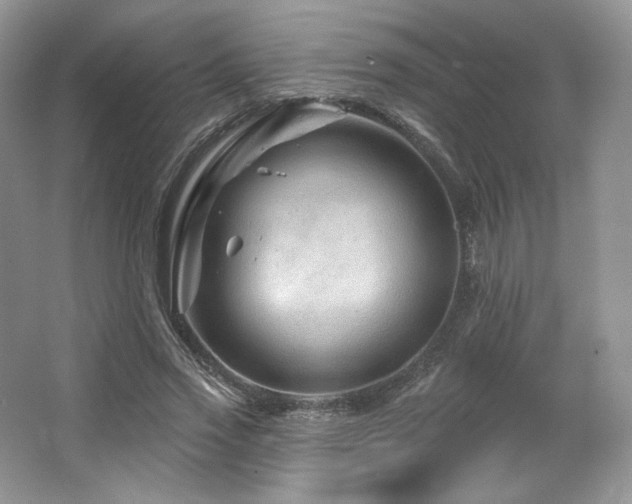 X0000065260733200602171454