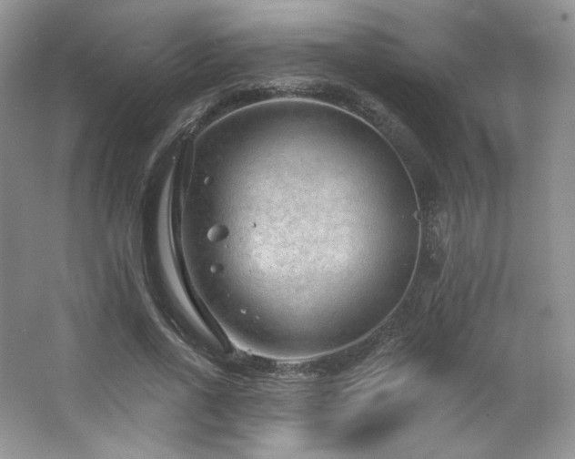 X0000065260734200602171454