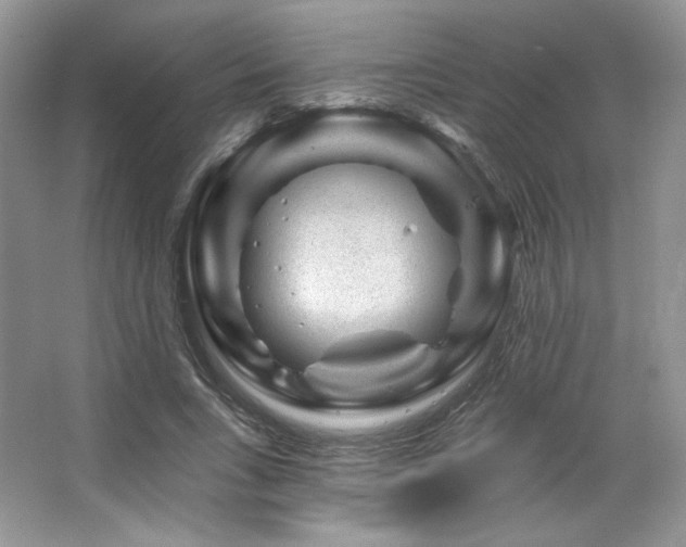 X0000065260735200602171454