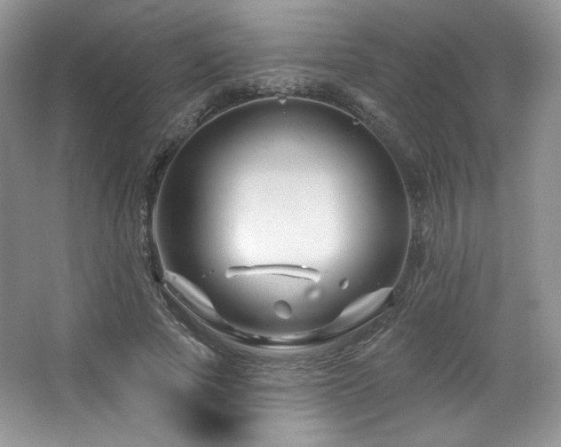 X0000065260737200602171454