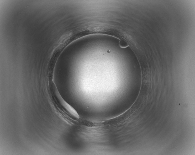 X0000065260738200602171454