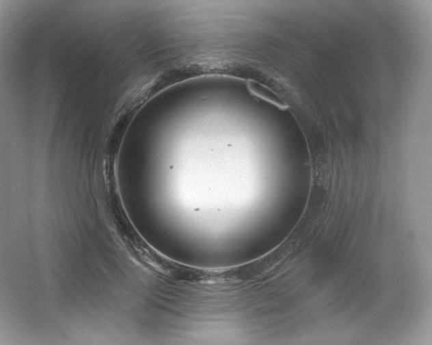 X0000065260740200602171454