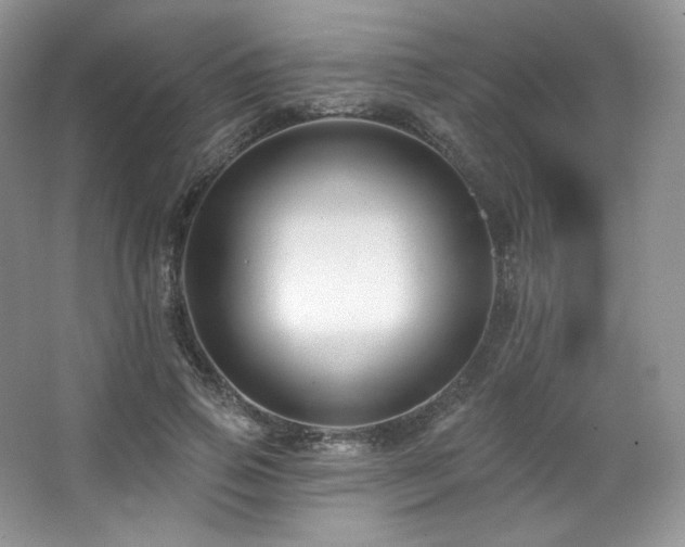 X0000065260741200602171454