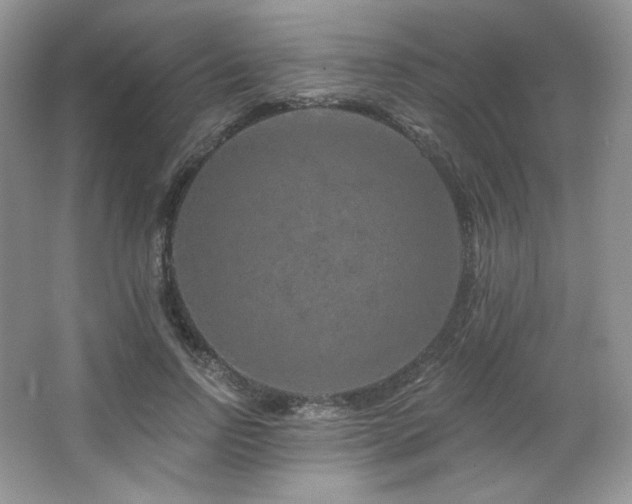 X0000065260742200602171454