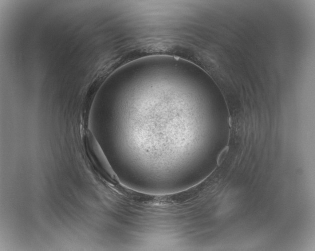 X0000065260743200602171454