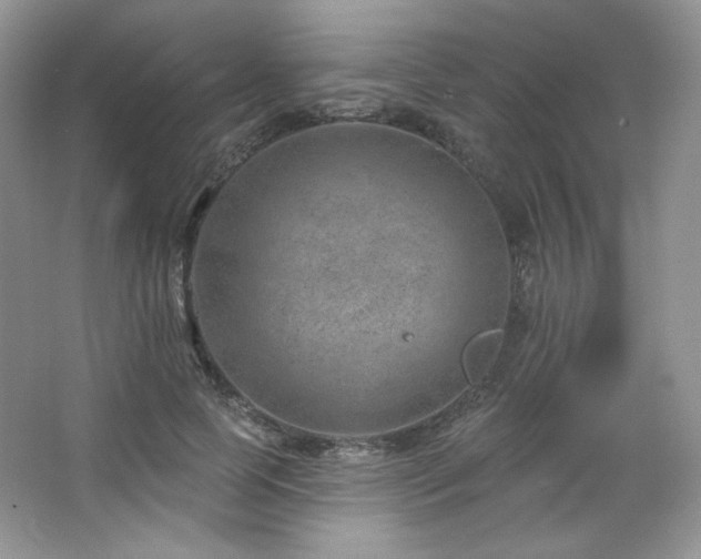 X0000065260745200602171454