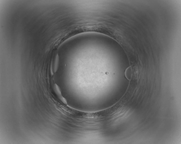 X0000065260746200602171454