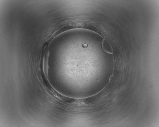 X0000065260747200602171454