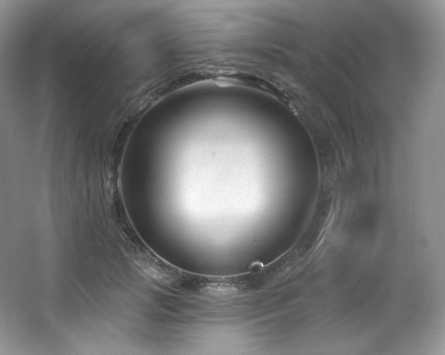 X0000065260749200602171454