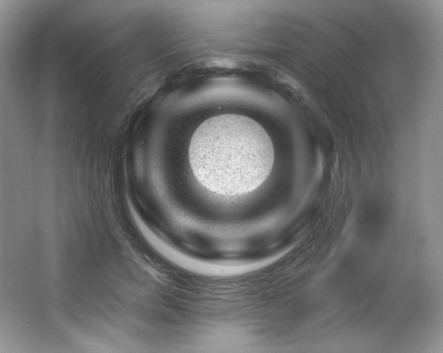 X0000065260750200602171454