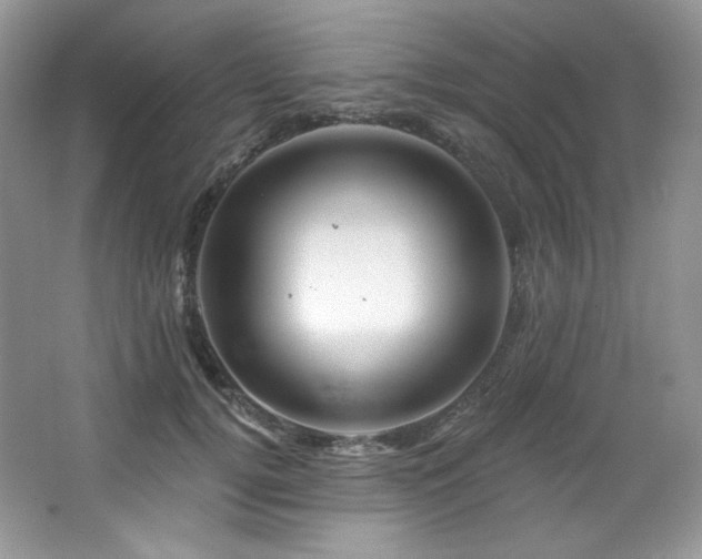 X0000065260752200602171454