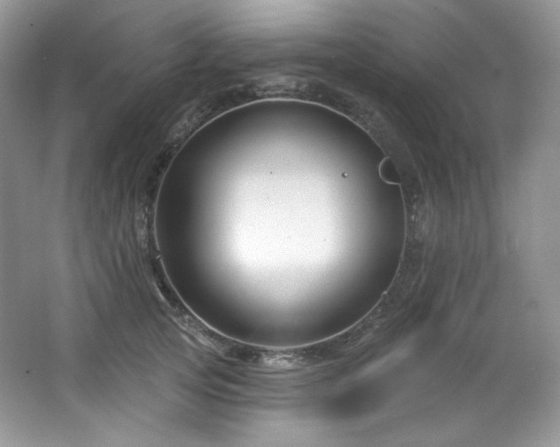 X0000065260753200602171454