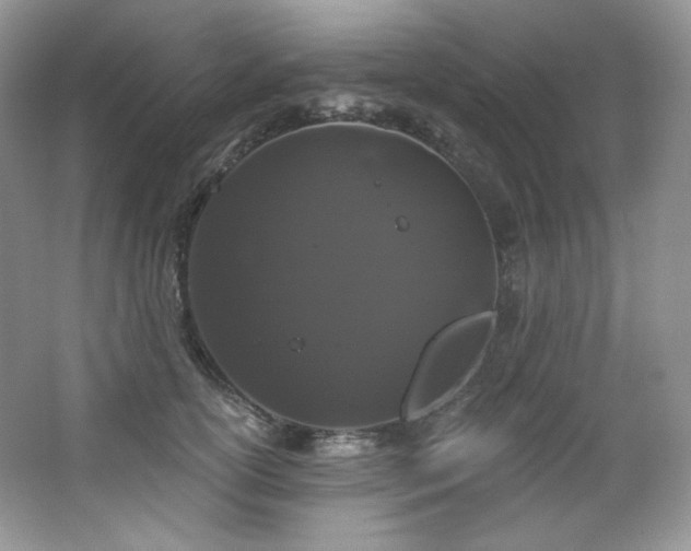 X0000065260754200602171454