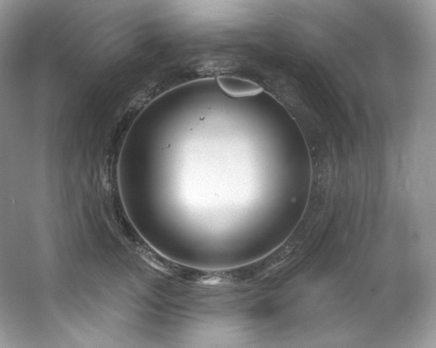 X0000065260755200602171454