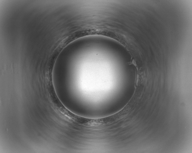 X0000065260756200602171454