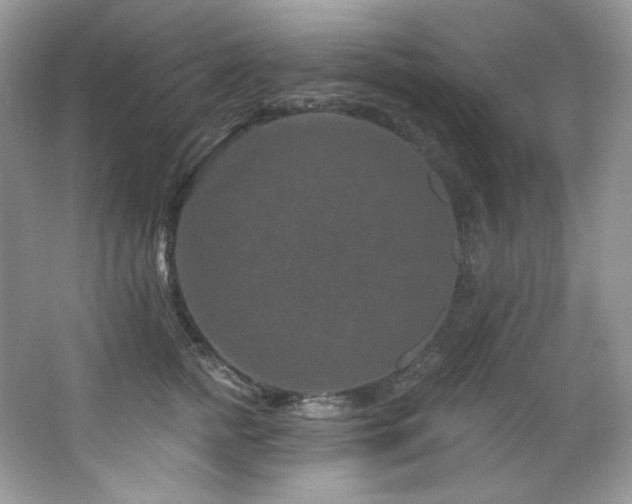 X0000065260758200602171454