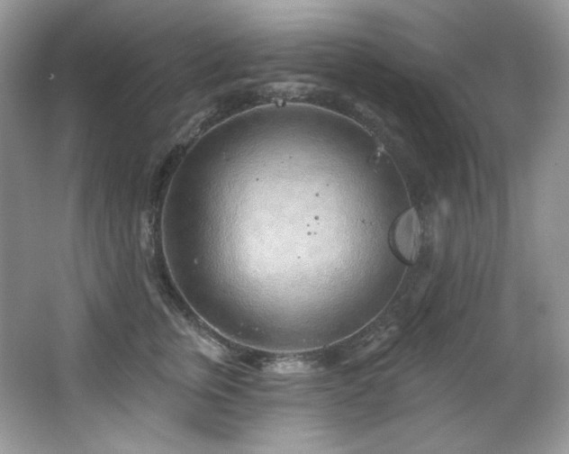 X0000065260759200602171454