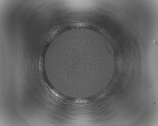 X0000065260760200602171454