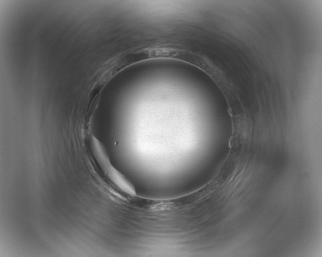 X0000065260761200602171454