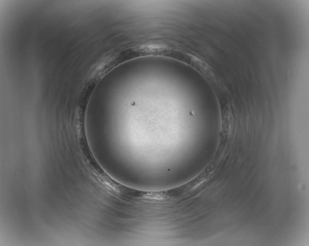 X0000065260762200602171454