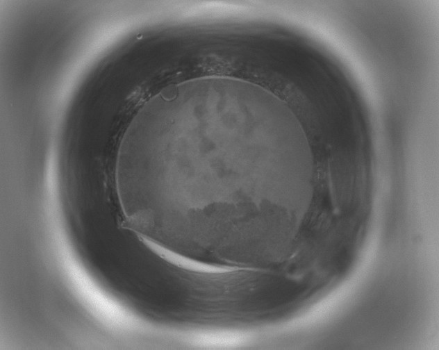 X0000065260765200602171454