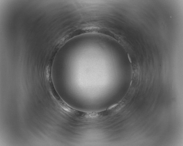 X0000065260767200602171454