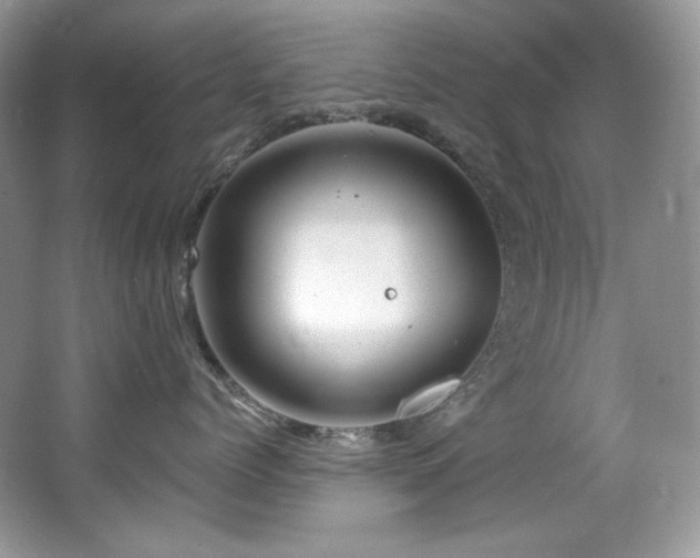 X0000065260768200602171454