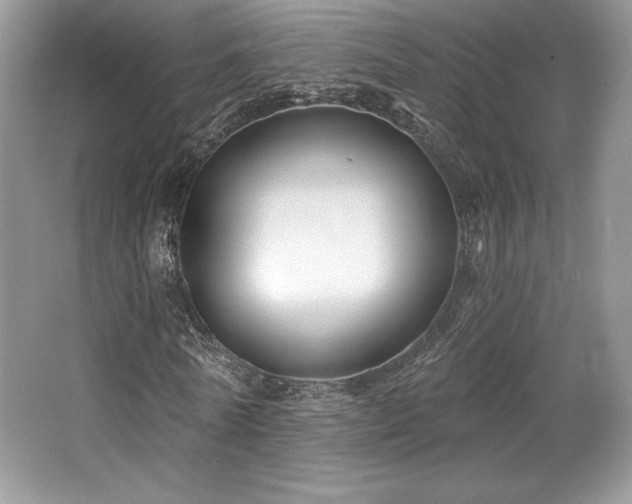 X0000065260770200602171453