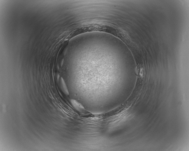 X0000065260771200602171453