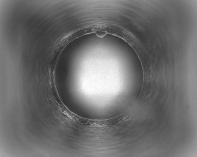 X0000065260773200602171453