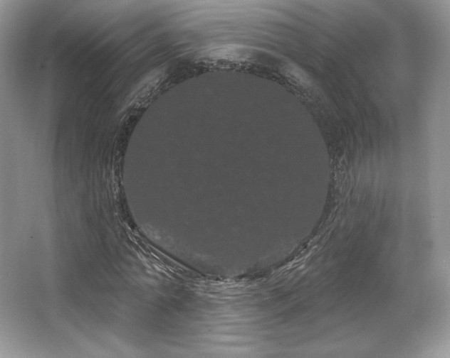 X0000065260774200602171453