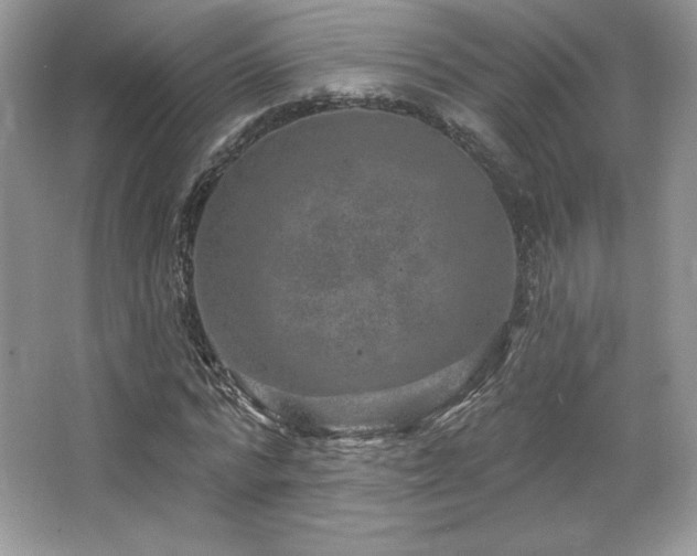 X0000065260776200602171453