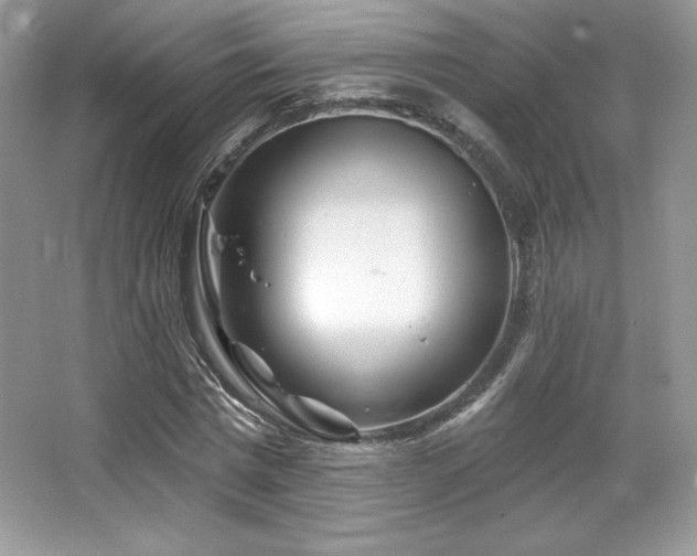 X0000065260777200602171453