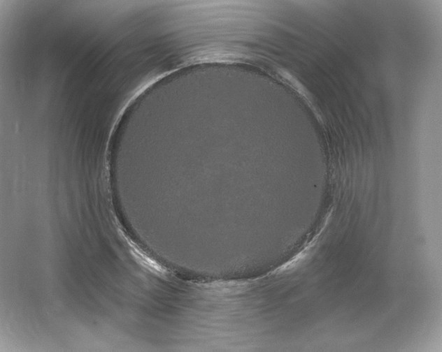 X0000065260779200602171453