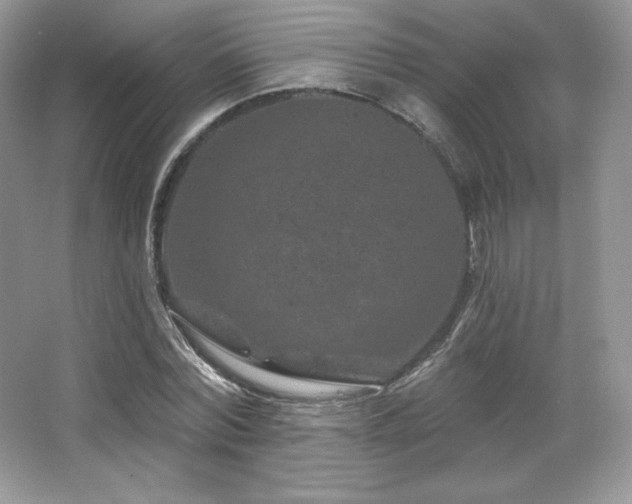 X0000065260780200602171453