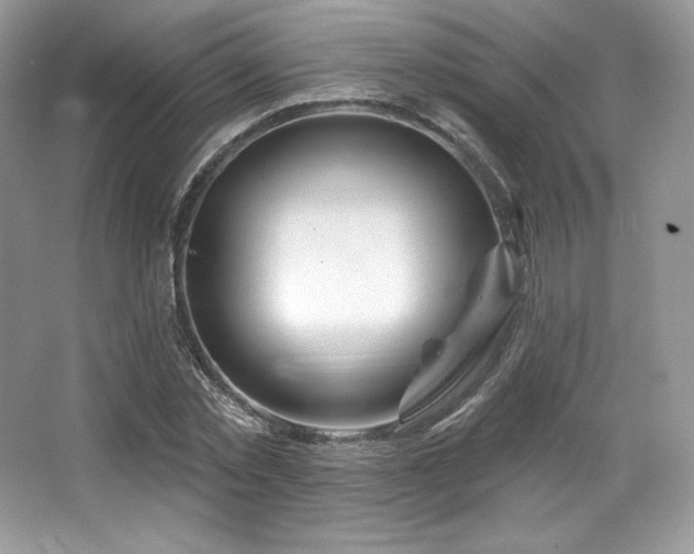 X0000065260781200602171453