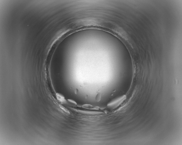 X0000065260782200602171453