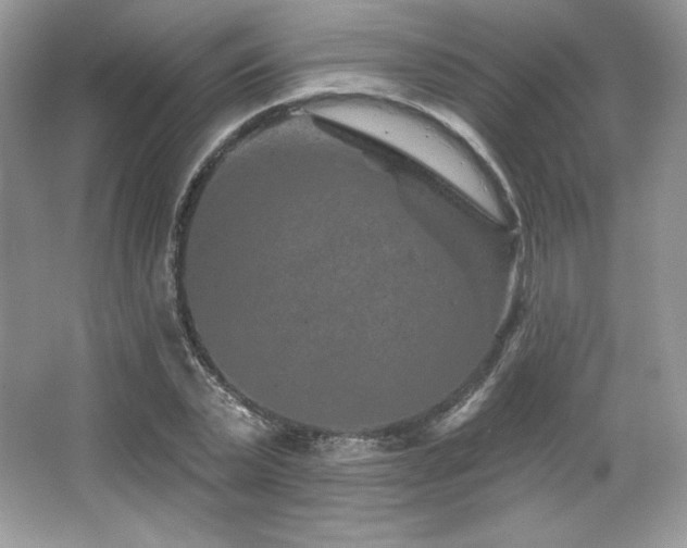 X0000065260783200602171453