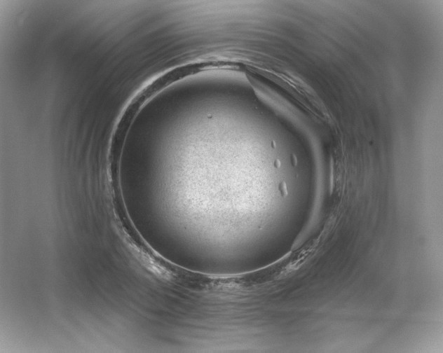 X0000065260784200602171453