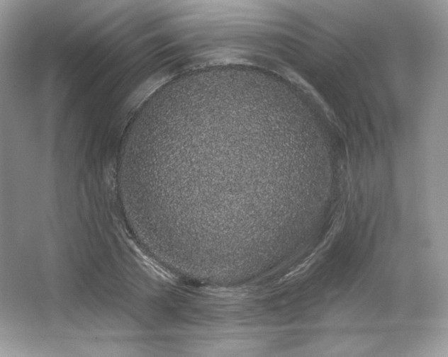 X0000065260785200602171453